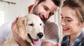 Fonctionnement des remboursements mutuelle animaux